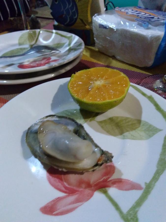 Casa Dos Acores B&B Florianópolis Eksteriør billede